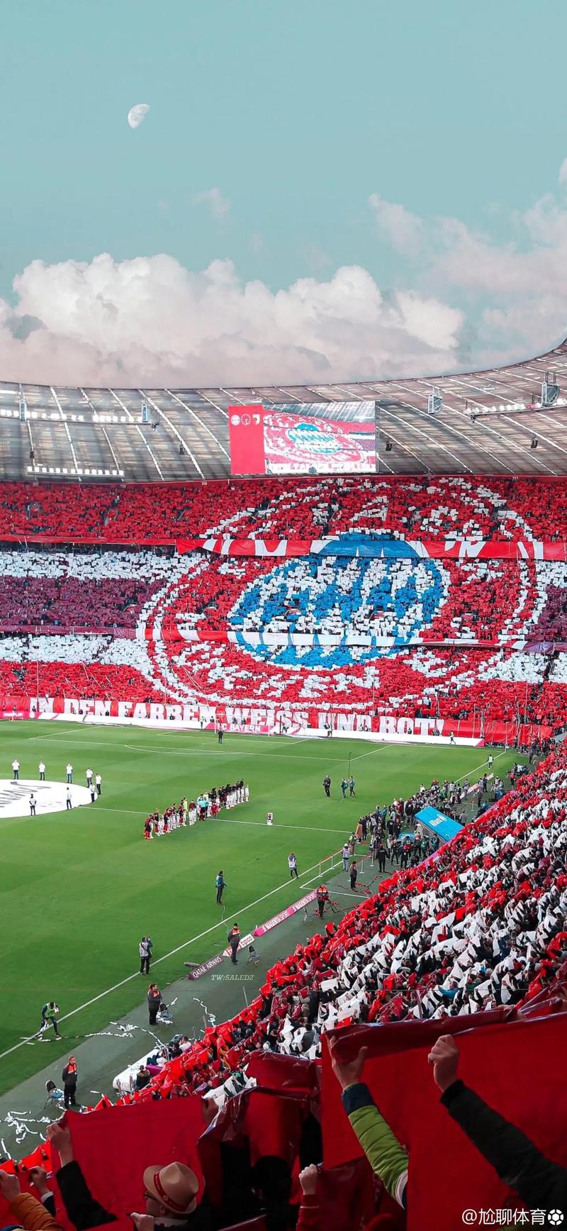 篮球篮网球队训练成果展示（篮网篮球队训练成果汇报展）